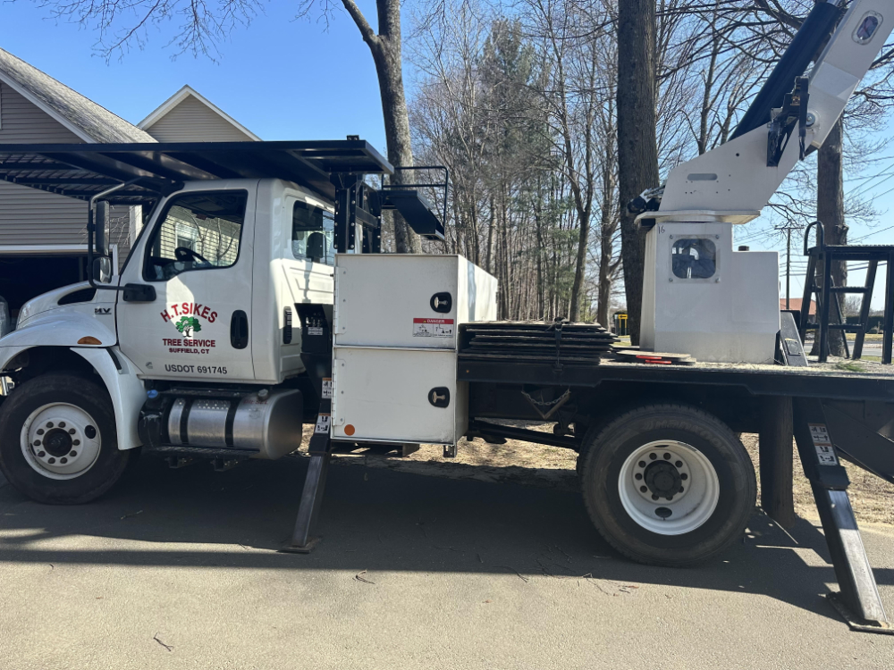 Sikes Tree Service professionals at work in Connecticut